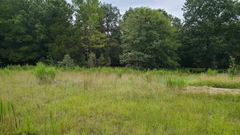 105 Snow Hill Rd, Durham, NC 27712 photo 12