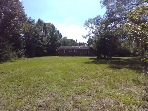 390 Newtown Loop Rd, Atkinson, NC 28421 photo 2