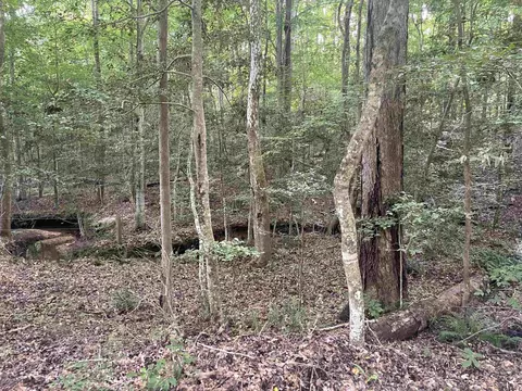 235 Vega Loop, Spring Hope, NC 27882 photo 3