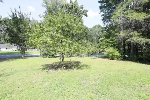 316 Fleming Dr, Durham, NC 27712 photo 21