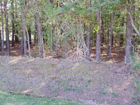 7092 Stokes Rd, Middlesex, NC 27557 photo 8
