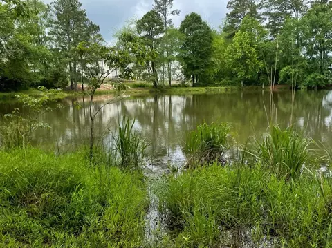 250 Forbes Rd, Wake Forest, NC 27587 photo 47