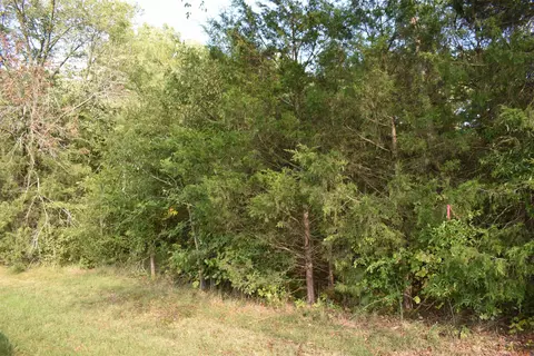 tbd Vander Oldham Rd, Bear Creek, NC 27207
