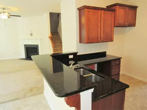 102 Griffis Dr, Stem, NC 27581 photo 3