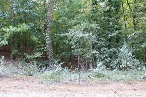 810 Ardmore Dr, Durham, NC 27713 photo 8