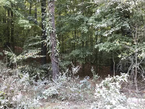 810 Ardmore Dr, Durham, NC 27713 photo 5