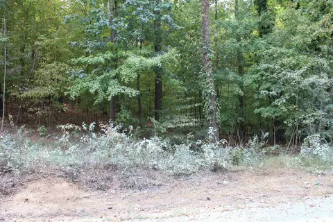 810 Ardmore Dr, Durham, NC 27713 photo 7