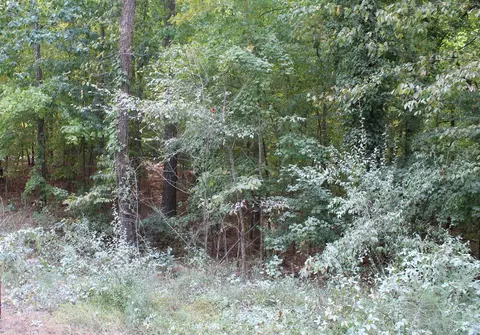 810 Ardmore Dr, Durham, NC 27713 photo 9