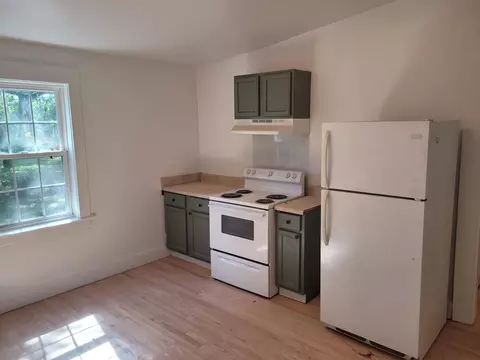 213 W Trinity Ave, Durham, NC 27701 photo 7