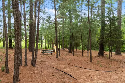 164 Token House Rd, Durham, NC 27703 photo 19