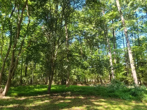 3712 Wiggins St, Durham, NC 27704 photo 2