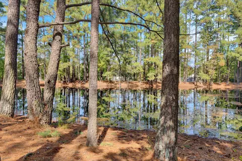 108 Checker Ct, Apex, NC 27502 photo 30