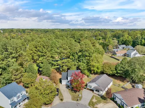 108 Checker Ct, Apex, NC 27502 photo 35