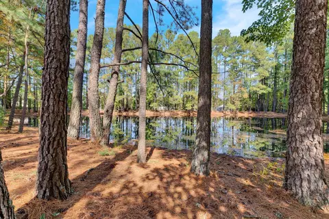 108 Checker Ct, Apex, NC 27502 photo 29