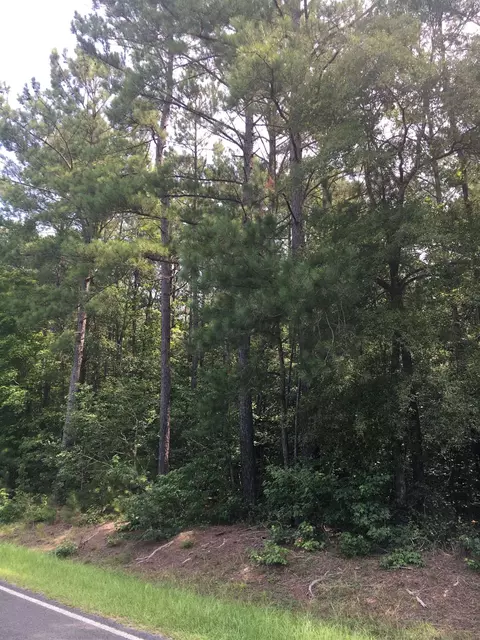 0 Vick Rd, Spring Hope, NC 27882 photo 3
