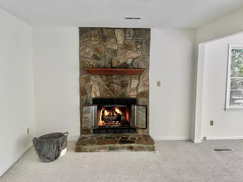 319 Hemming Way, Durham, NC 27713 photo 19