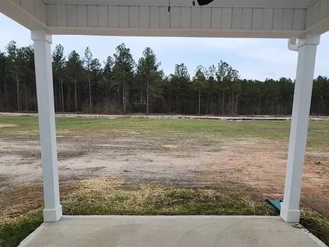 412 Josey Williams Rd, Erwin, NC 28339 photo 10