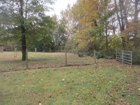 135 Blue Devil Ln, Timberlake, NC 27583 photo 7