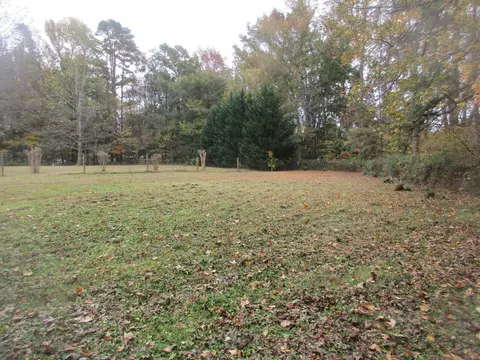 135 Blue Devil Ln, Timberlake, NC 27583 photo 11
