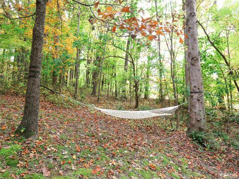 15529 New Light Rd, Wake Forest, NC 27587 photo 53