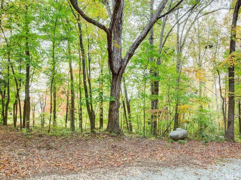 15529 New Light Rd, Wake Forest, NC 27587 photo 54