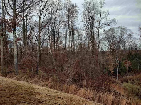 438 Cliffview Dr, Garner, NC 27529 photo 24