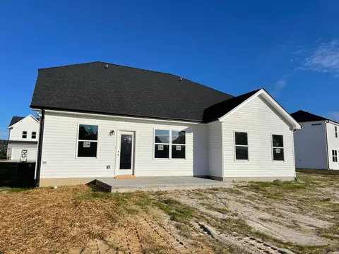 81 Wolf Ridge Ct, Willow Spring, NC 27592 photo 9