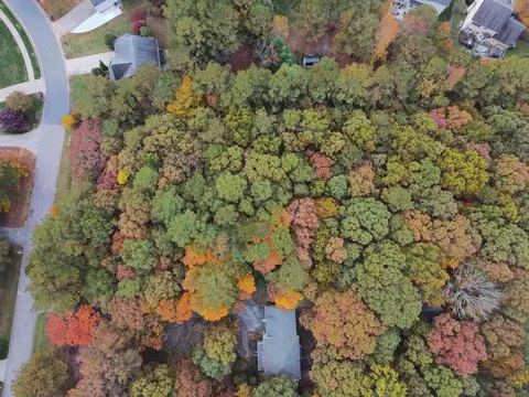 1359 Catrush Way, Wake Forest, NC 27587 photo 8