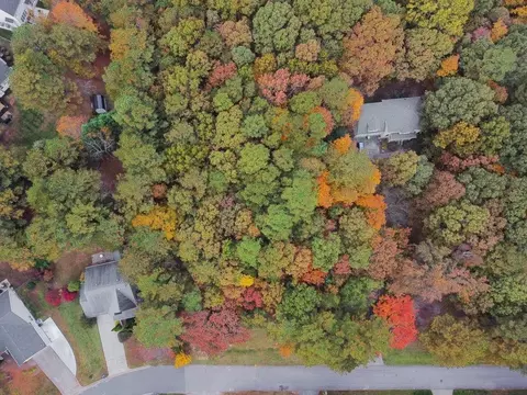1359 Catrush Way, Wake Forest, NC 27587 photo 9