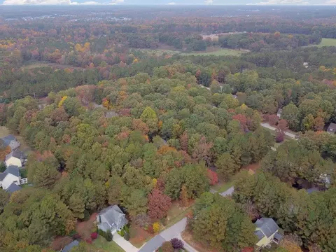 1359 Catrush Way, Wake Forest, NC 27587 photo 4