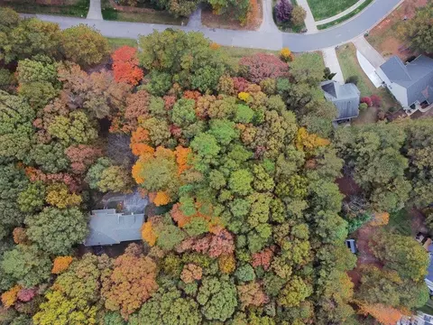 1359 Catrush Way, Wake Forest, NC 27587 photo 7