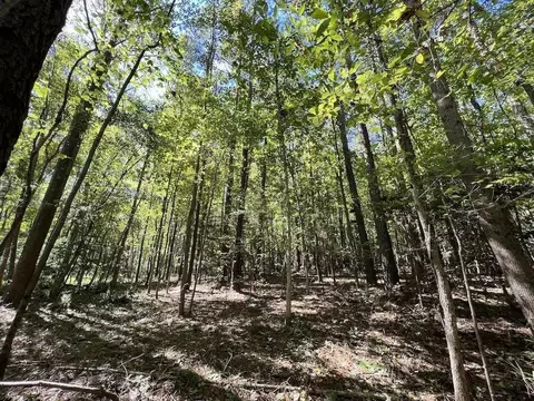 1641 Sims Bridge Rd, Kittrell, NC 27525 photo 17