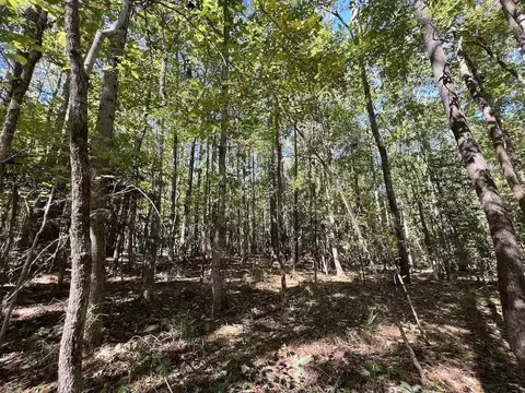 1641 Sims Bridge Rd, Kittrell, NC 27525 photo 18