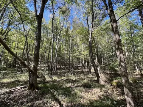 1641 Sims Bridge Rd, Kittrell, NC 27525 photo 16