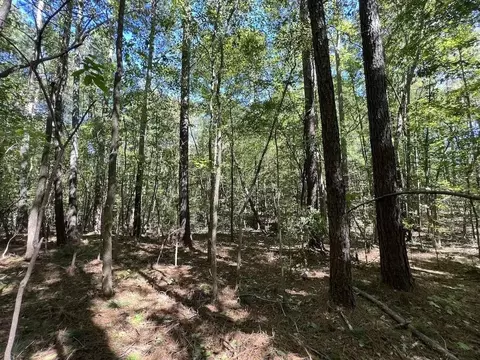 1641 Sims Bridge Rd, Kittrell, NC 27525 photo 20