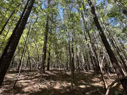 1641 Sims Bridge Rd, Kittrell, NC 27525 photo 19
