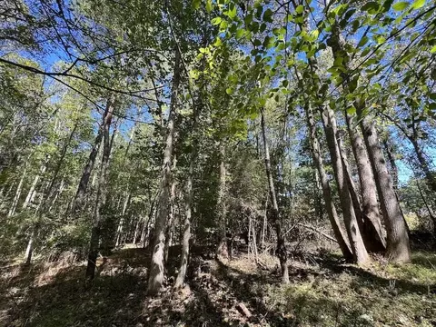 1641 Sims Bridge Rd, Kittrell, NC 27525 photo 15