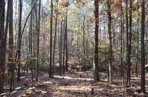 2778 Baptist Rd, Durham, NC 27703 photo 7