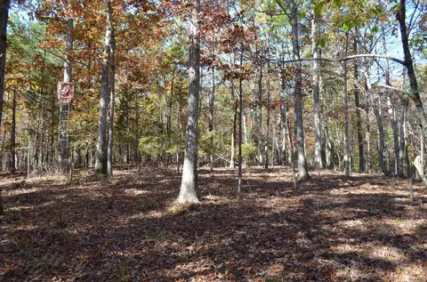 2778 Baptist Rd, Durham, NC 27703 photo 10