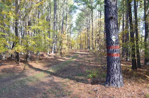2778 Baptist Rd, Durham, NC 27703 photo 11