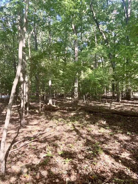 5322 Ventoria Rd, Durham, NC 27712 photo 1