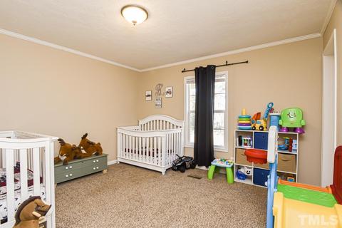 386 Moncure Loop Rd, Moncure, NC 27559 photo 19