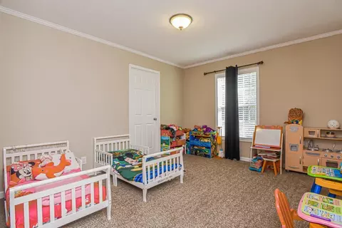 386 Moncure Loop Rd, Moncure, NC 27559 photo 11