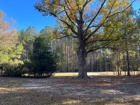 495 Bill Thomas Rd, Moncure, NC 27559 photo 6
