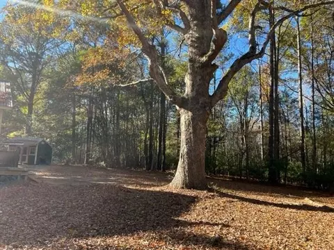 495 Bill Thomas Rd, Moncure, NC 27559 photo 11