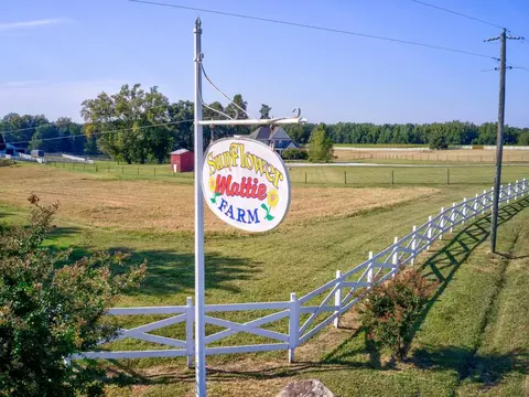 7959 Baskerville Rd, Baskerville, VA 23915 photo 54