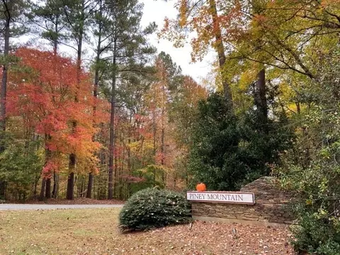 5412 Piney Bluff Ct, Durham, NC 27705 photo 43