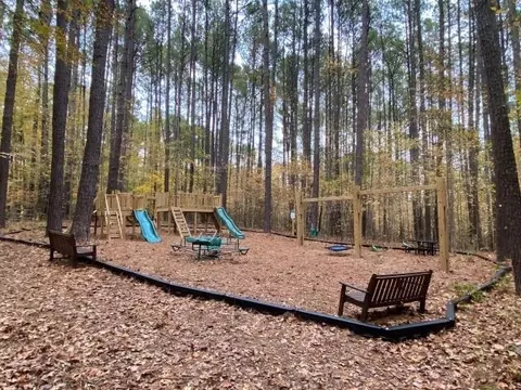 5412 Piney Bluff Ct, Durham, NC 27705 photo 53