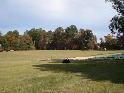 144 Pearidge Rd, Willow Spring, NC 27592 photo 51