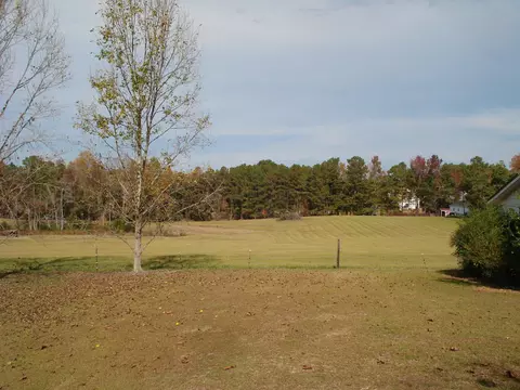 144 Pearidge Rd, Willow Spring, NC 27592 photo 50